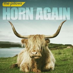 the pillows - horn again